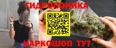 прущие грибы Нягань