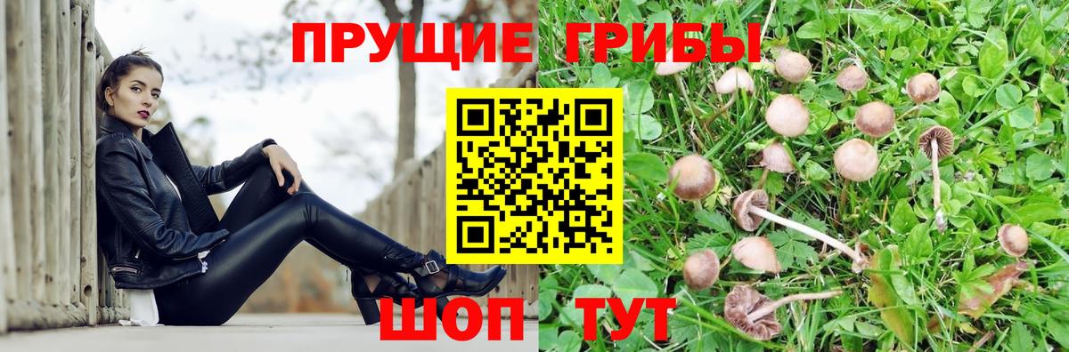 Сыктывкар  Галлюциногенные грибы Cubensis  Вход с VPN  Псилоцибиновые грибы мухоморы 